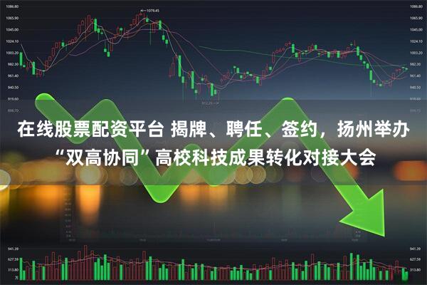 在线股票配资平台 揭牌、聘任、签约，扬州举办“双高协同”高校科技成果转化对接大会