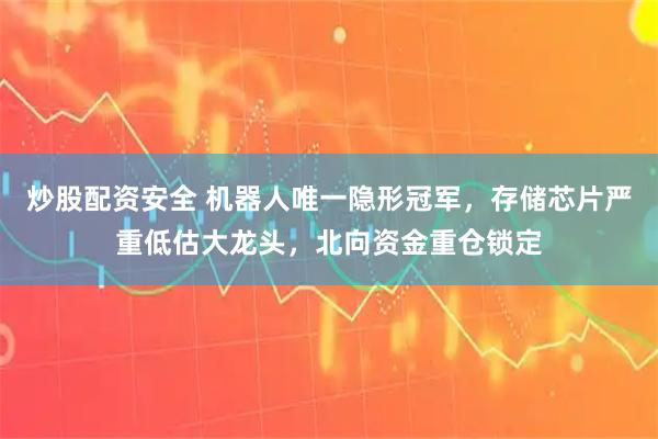 炒股配资安全 机器人唯一隐形冠军，存储芯片严重低估大龙头，北向资金重仓锁定