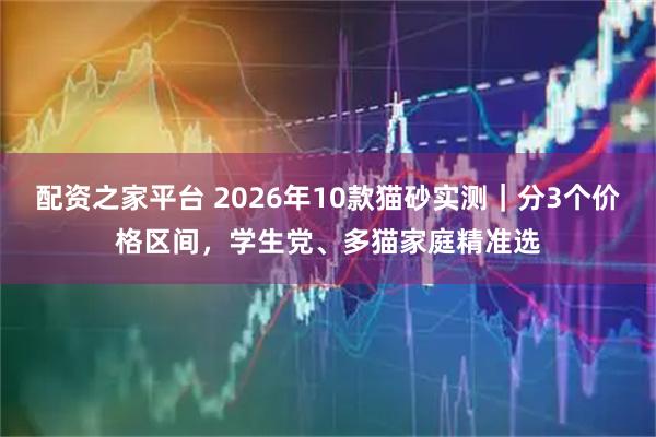 配资之家平台 2026年10款猫砂实测｜分3个价格区间，学生党、多猫家庭精准选