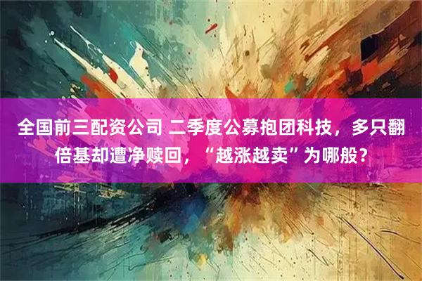 全国前三配资公司 二季度公募抱团科技，多只翻倍基却遭净赎回，“越涨越卖”为哪般？