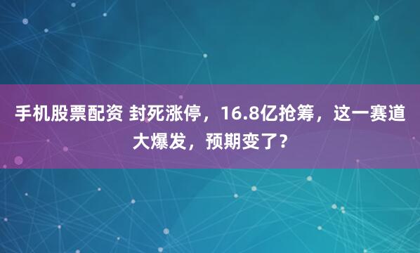手机股票配资 封死涨停，16.8亿抢筹，这一赛道大爆发，预期变了？