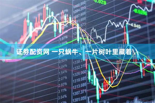 证劵配资网 一只蜗牛、一片树叶里藏着\